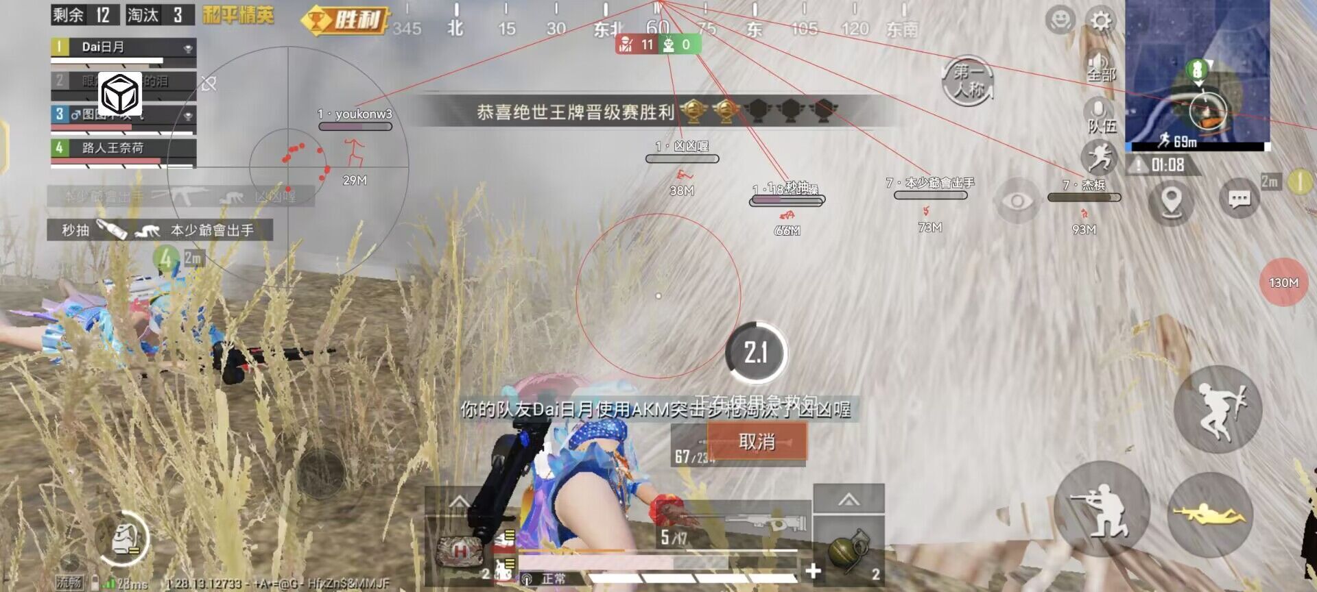 和平精英【雪儿内核】辅助