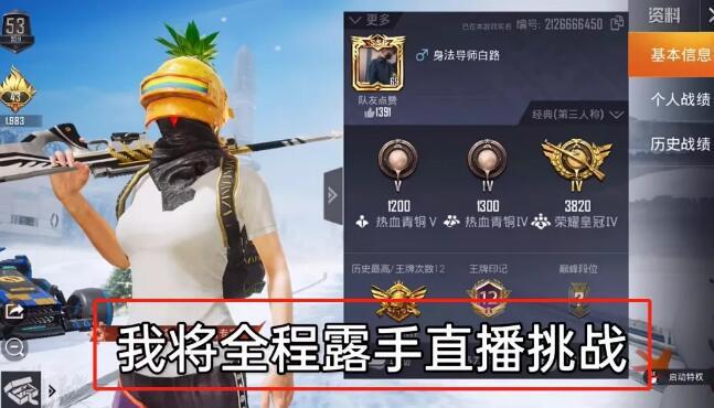 和平精英《迪达拉pro》辅助