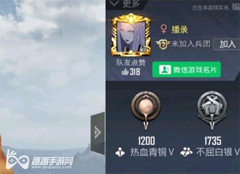 和平精英【初夏内核】辅助